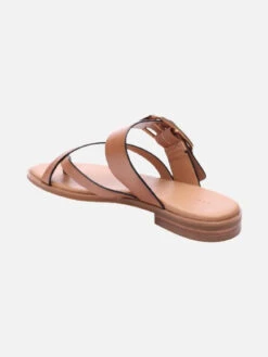 Spring Sandal Lion 9 Spring Sandal Lion -Clothing Store SA SPRING Lion RI3Q removebg preview